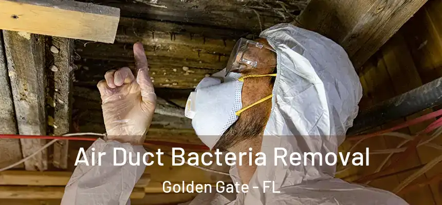Air Duct Bacteria Removal Golden Gate - FL