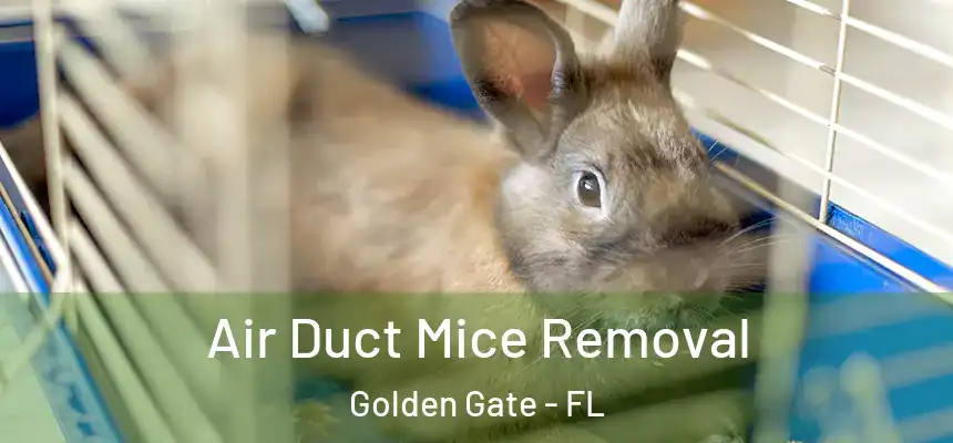 Air Duct Mice Removal Golden Gate - FL