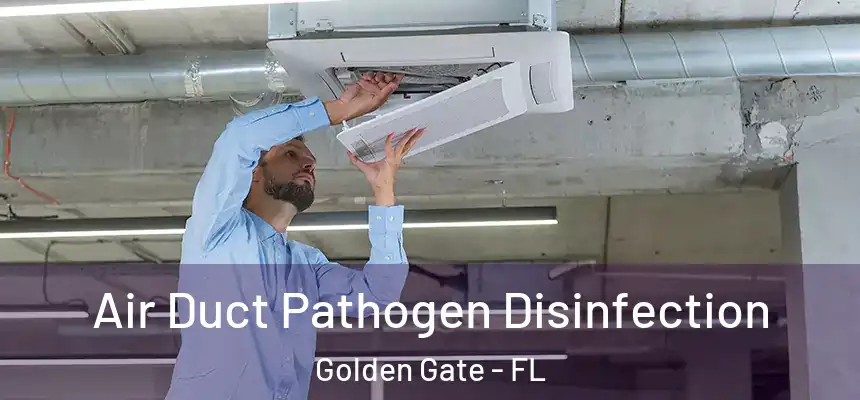 Air Duct Pathogen Disinfection Golden Gate - FL