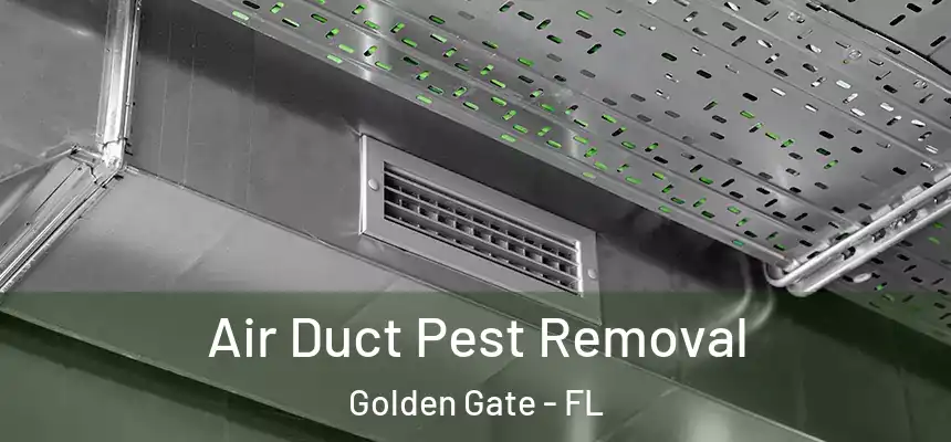 Air Duct Pest Removal Golden Gate - FL