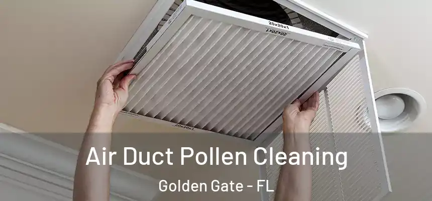 Air Duct Pollen Cleaning Golden Gate - FL