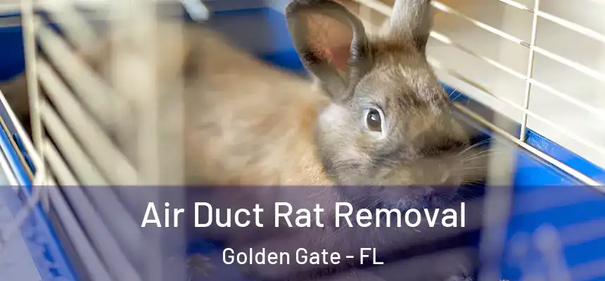 Air Duct Rat Removal Golden Gate - FL