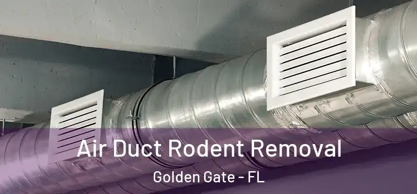Air Duct Rodent Removal Golden Gate - FL