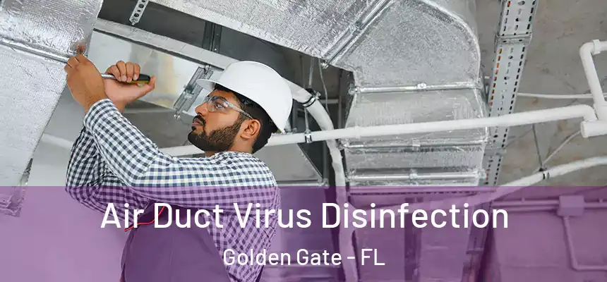 Air Duct Virus Disinfection Golden Gate - FL