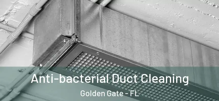 Anti-bacterial Duct Cleaning Golden Gate - FL