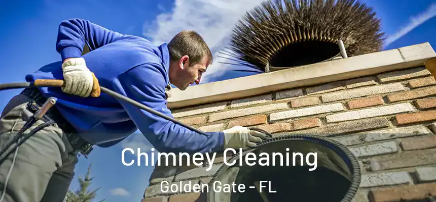 Chimney Cleaning Golden Gate - FL