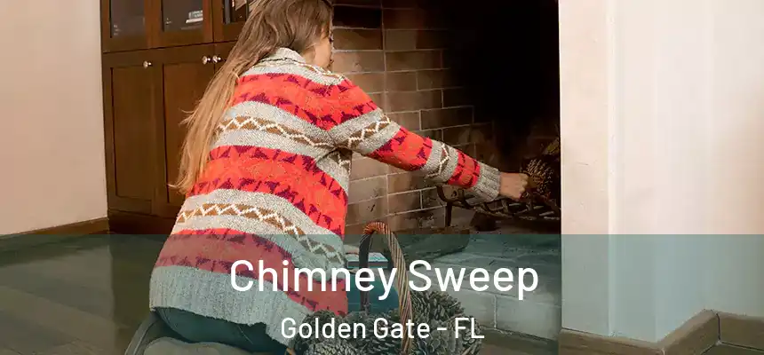 Chimney Sweep Golden Gate - FL