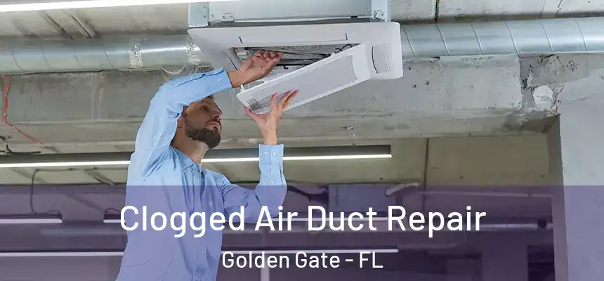 Clogged Air Duct Repair Golden Gate - FL