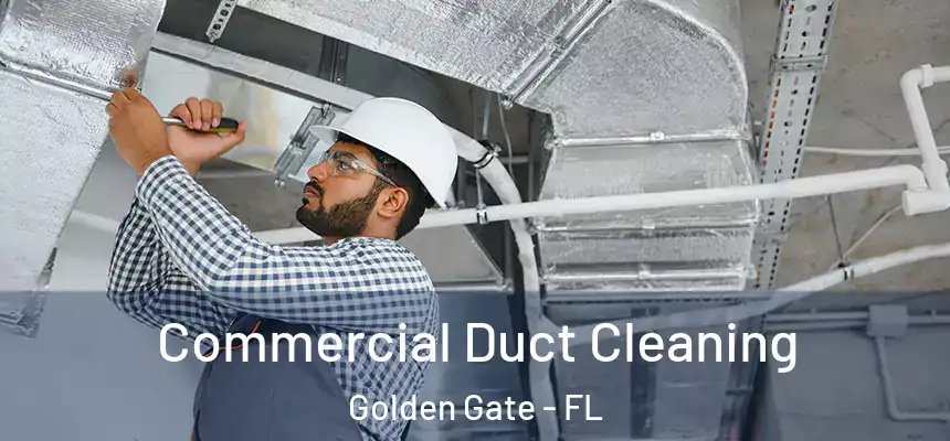 Commercial Duct Cleaning Golden Gate - FL