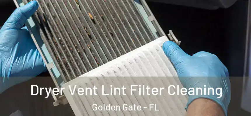  Dryer Vent Lint Filter Cleaning Golden Gate - FL