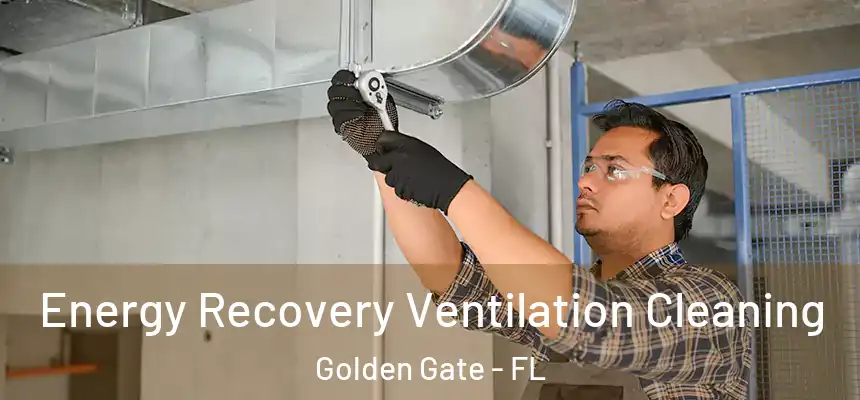 Energy Recovery Ventilation Cleaning Golden Gate - FL