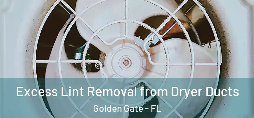 Excess Lint Removal from Dryer Ducts Golden Gate - FL