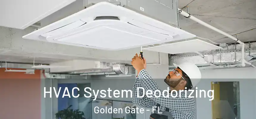HVAC System Deodorizing Golden Gate - FL
