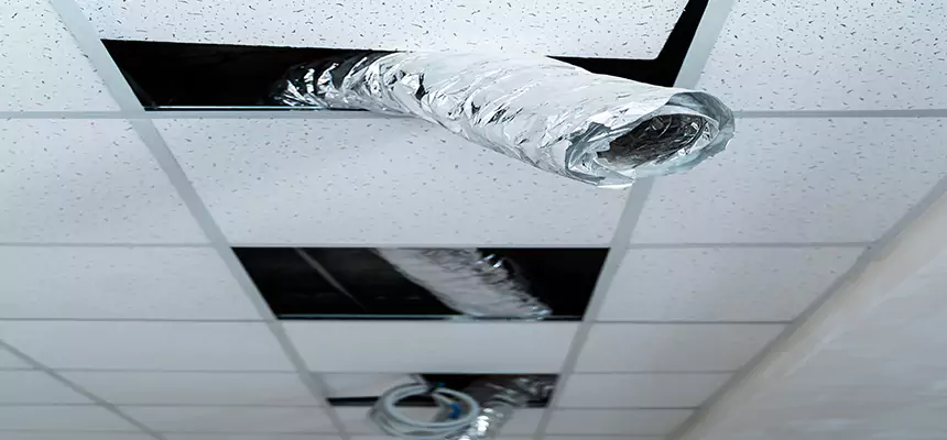 Our Air Duct Pet Hair Removal Services in Golden Gate, FL