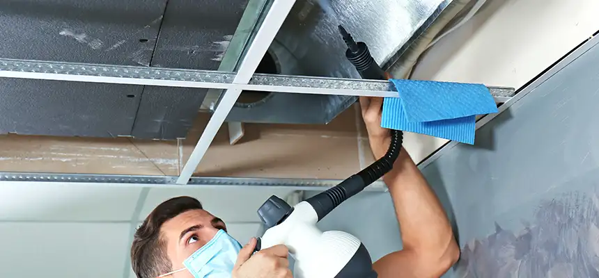 Our Air Duct Rodent Removal Services in Golden Gate, FL