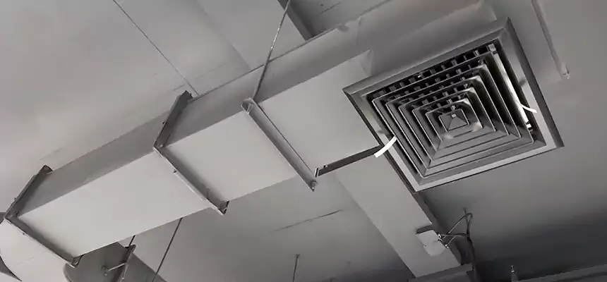 Restorative Allergy Relief Vent Cleaning – Coil, Blower & Housing Detail in Golden Gate