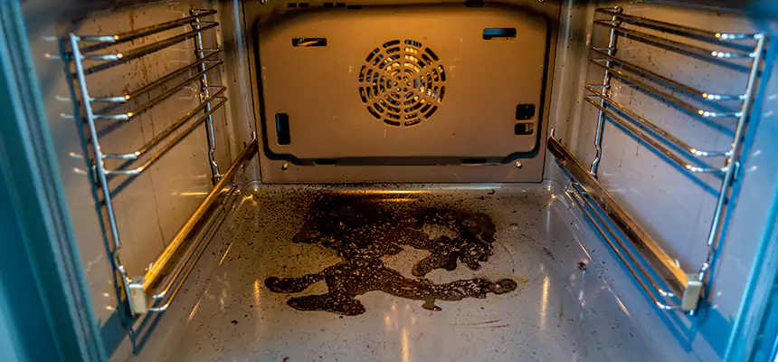 Our Dryer Vent Mold Cleaning Services in Golden Gate, FL