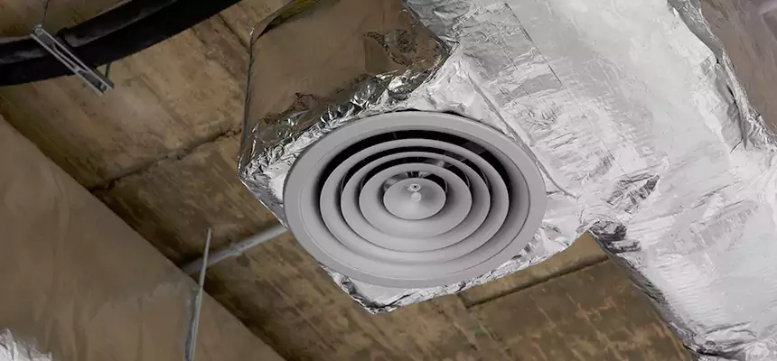Our Excess Lint Removal from Dryer Ducts Services in Golden Gate, FL