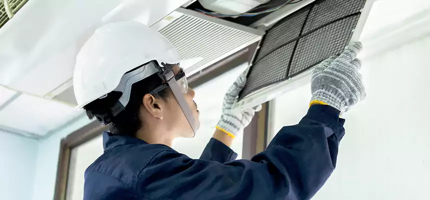 Our Mold & Mildew Removal from Air Ducts Services in Golden Gate, FL