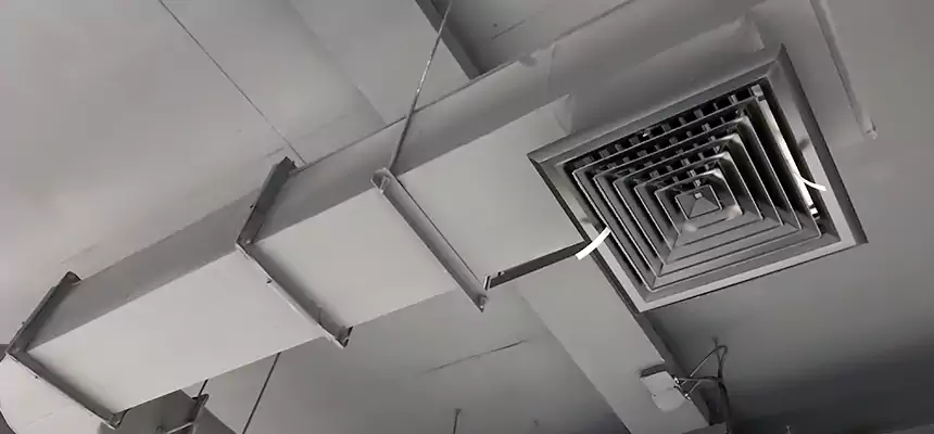 Our Pest Removal From Ducts Services in Golden Gate, FL