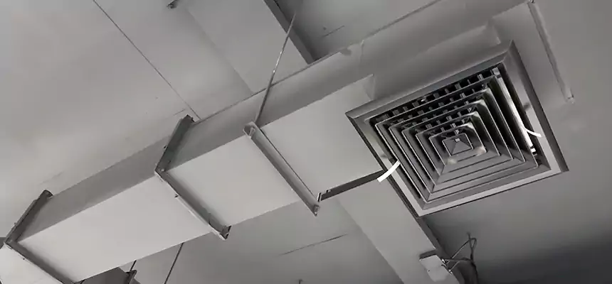 Our Rodent Droppings In Vents Services in Golden Gate, FL