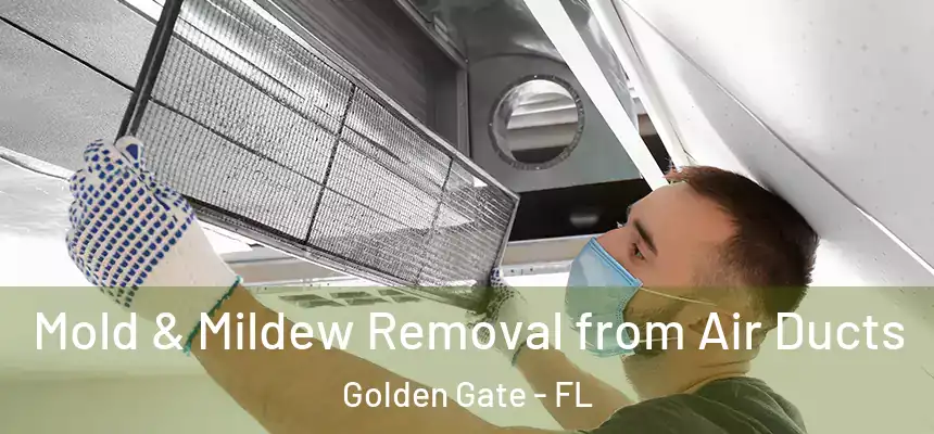 Mold & Mildew Removal from Air Ducts Golden Gate - FL