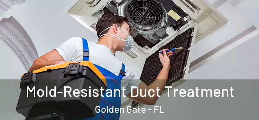 Mold-Resistant Duct Treatment Golden Gate - FL
