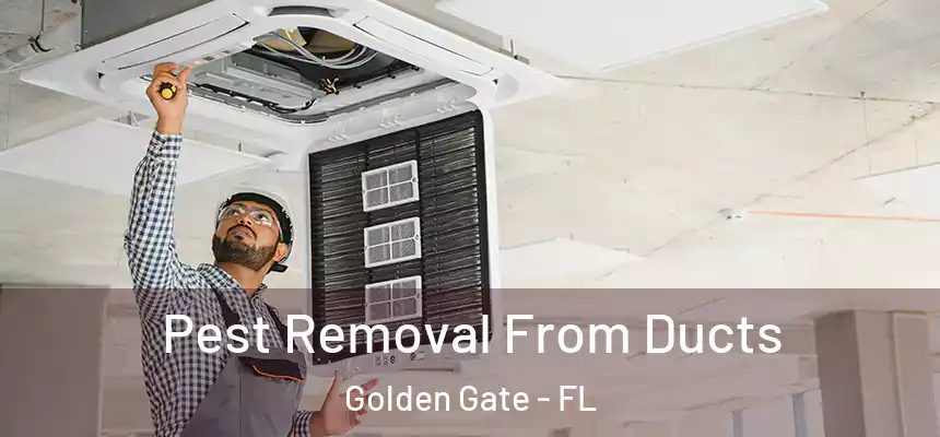 Pest Removal From Ducts Golden Gate - FL