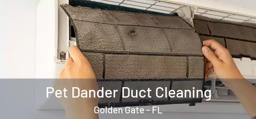 Pet Dander Duct Cleaning Golden Gate - FL