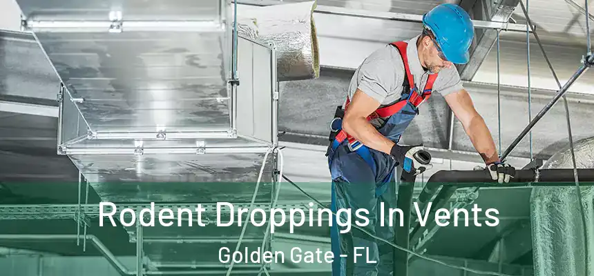 Rodent Droppings In Vents Golden Gate - FL