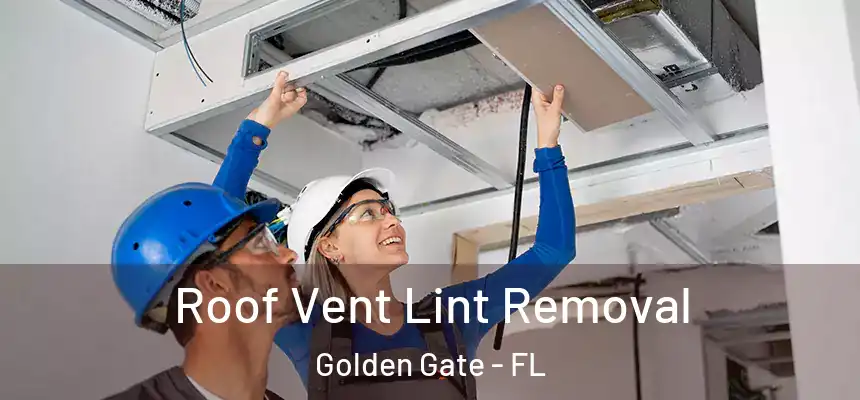 Roof Vent Lint Removal Golden Gate - FL