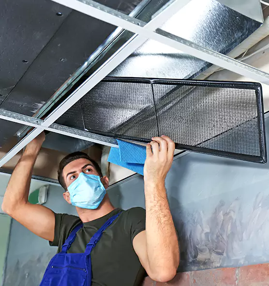 About Air Duct Bacteria Removal in Golden Gate