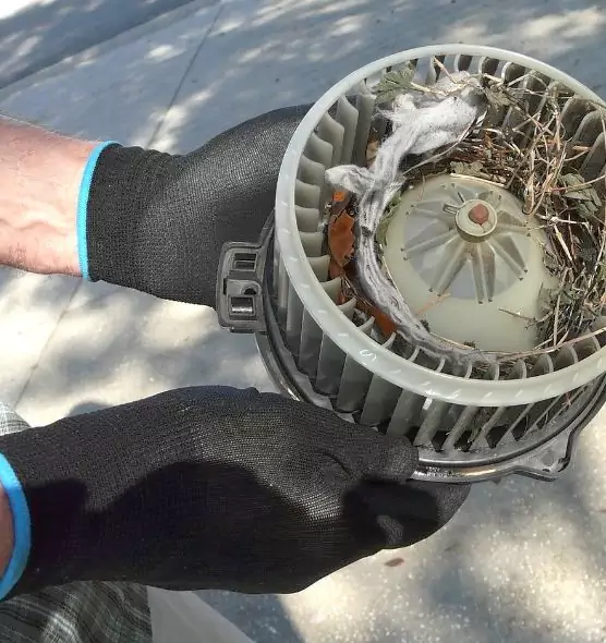 About Air Duct Mice Removal in Golden Gate, FL