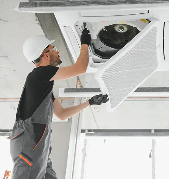 About Air Duct Rodent Removal in Golden Gate, FL
