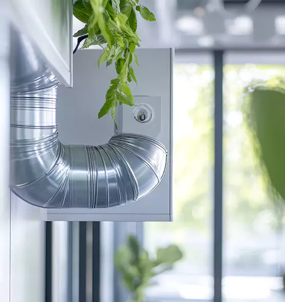 Professional Eco-Safe Dryer Vent Cleaning in Golden Gate, FL