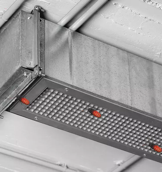 Affordable Insect Removal from Air Ducts in Golden Gate, FL