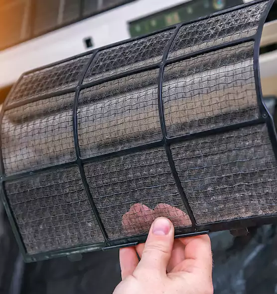 About Pet Dander Duct Cleaning in Golden Gate, FL