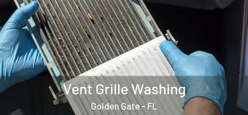 Vent Grille Washing Golden Gate - FL