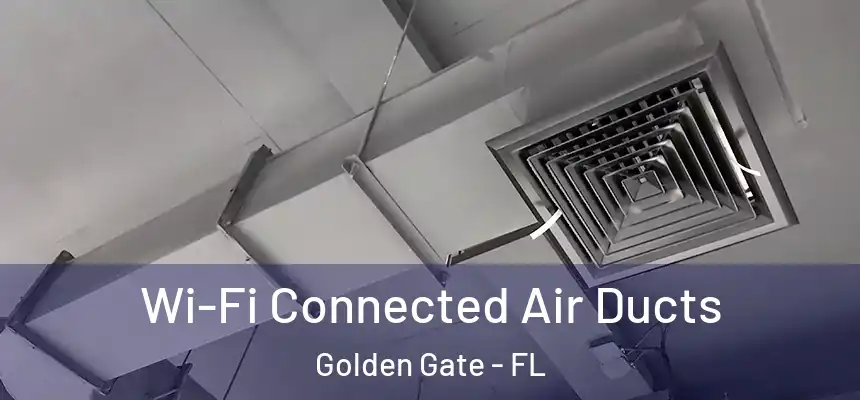 Wi-Fi Connected Air Ducts Golden Gate - FL